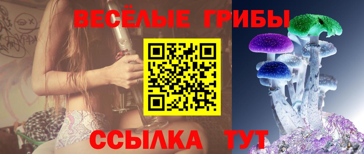 Звенигород  Галлюциногенные грибы ЛСД  Галлюциногенные грибы Psilocybine cubensis  закладки  Вход с VPN 